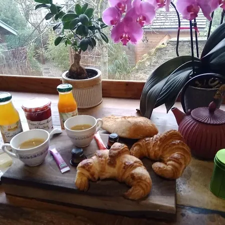 בקתה La Des Colibris Rieupeyroux (Aveyron)